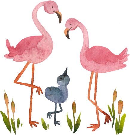 Watercolor Baby & Parent Animals Flamingos