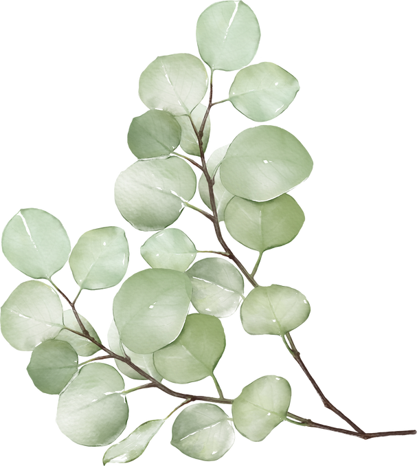 watercolor leaf eucalyptus 